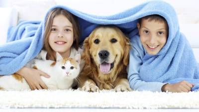 Los gatos y los perros son excelentes mascotas para los niños.