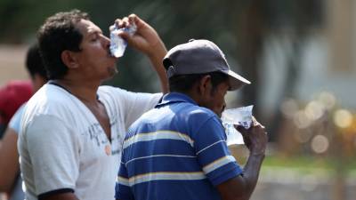 La sensación térmica será de 39 grados en San Pedro.