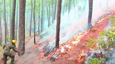 Cada día el Cuerpo de Bomberos recibe al menos 270 reportes de incendios forestales y en zacateras.