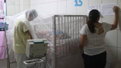 El 32 % de los casos de personas infectadas por el dengue se reportó en los departamentos de Francisco Morazán, El Paraíso, Cortés, Yoro y Olancho. Foto de archivo