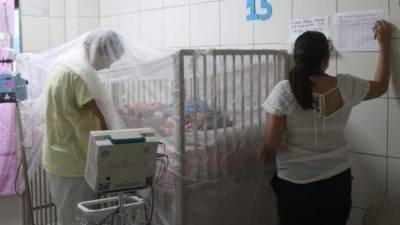 De acuerdo con cifras de la Secretaría de Salud, en Honduras entre enero y marzo unas 8,737 han sufrido dengue, enfermedad causada por la picadura del mosquito transmisor, el “Aedes Aegypti”.