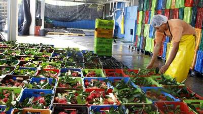El cambio climático se enseaña con la agroindustria del país. Fotos: Franklin Muñoz.