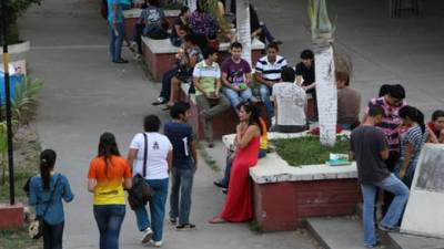Los universitarios están listos para presentar sus proyectos desde hoy.