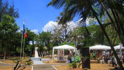 El evento fue en el parque México. Foto: Melvin Cubas.