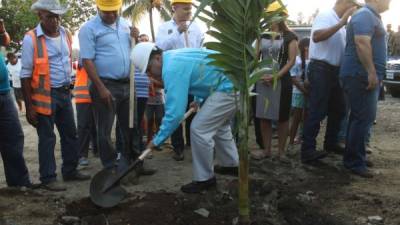 El alcalde Armando Calidonio plantó la primera palmera como acto simbólico de inauguración.