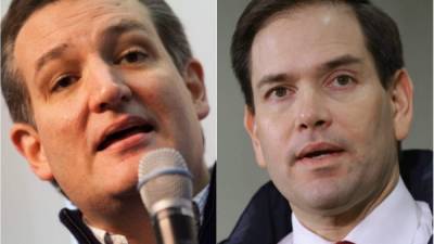 Marco Rubio y Ted Cruz, ambos de origen cubano, son la revelación de las primarias en EUA.