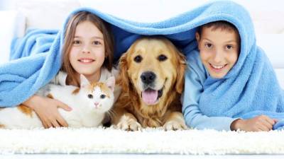 Cuando un animalito llega al hogar siente que la familia ya tiene otro miembro.