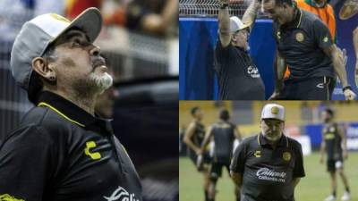 Un radiante Diego Armando Maradona debutó con éxito este lunes en la dirección de Dorados de Sinaloa, que golearon 4-1 a Cafetaleros de Tapachula por la octava fecha del torneo Apertura del Ascenso. Mira las imágenes de lo que su debut. FOTOS AFP Y EFE.