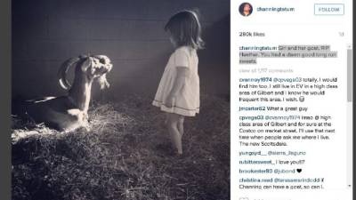 Channing Tatum llora por su cabra.