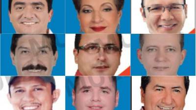 Según datos preliminares del Tribunal Supremo Electoral (TSE), ellos son los candidatos a diputados que se perfilan en los primeros lugares en Santa Bárbara.