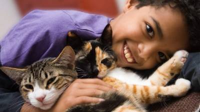 El tener una mascota a quien amar y cuidar alivia la depresión de los niños que viven en la calle.