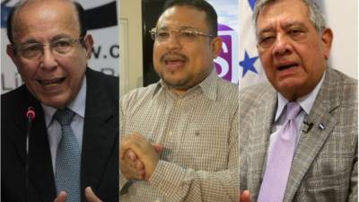 Roberto Herrera Cáceres (Comisionado de DD HH), Omar Rivera (Miembro Sociedad Civil) y Leonidas Rosa Bautista (Embajador ante la OEA).