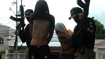 La investigación resalta que más genes deben de estar envueltos en la explicación del comportamiento violento.