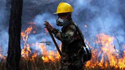 Alrededor de 1.3 millones de hectáreas de bosque tienen mayor riesgo de perderse por quemas.