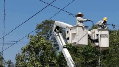 Cuadrillas de la Enee dan mantenimiento a postes.