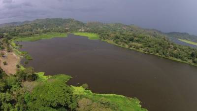 La laguna de Juctuma se está recuperando.