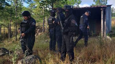 Cabaña ubicada en zona montañosa de Amarateca.