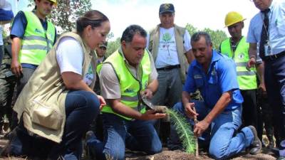 Siembra. Cristy Raudales, Armando Calidonio y Pablo Dubón del ICF.
