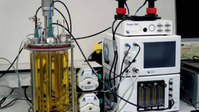 Vista del 'laboratorio de heces' presentado hoy en Delft, en el este de Holanda, por el Instituto UNESCO-IHE para la Educación relativa al Agua, que busca paliar la falta de servicios de saneamiento especialmente en África y Asia. EFE