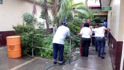 Los empleados realizaron la limpieza de cada rincón del centro de salud.
