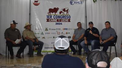 Los representantes de las organizaciones de ganaderas del país harán en La Ceiba el lanzamiento oficial del Primer Congreso de Carne y Leche a desarrollarse en Siguatepeque en el próximo mes de mayo.