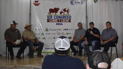 Los representantes de las organizaciones de ganaderas del país harán en La Ceiba el lanzamiento oficial del Primer Congreso de Carne y Leche a desarrollarse en Siguatepeque en el próximo mes de mayo.