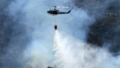 Honduras ha perdido 90.206 hectáreas de bosque en unos 816 incendios en 2021