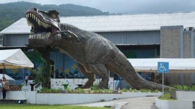 El dinosaurio tiene una altura de cinco metros y fue diseñado a escala real. Su construcción duró tres meses. Fotos: Amilcar Izaguírre y Jorge Gonzáles.