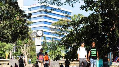 El rector del Alma Márter, Francisco Herrera, destacó que desde hace meses se ha estado trabajando con el tema del proyecto.