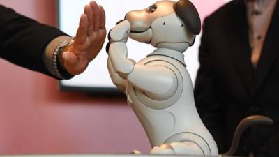 Esta nueva versión de Aibo incorpora los últimos avances de la robótica y, asegura Sony, puede desarrollar su propia 'personalidad'.