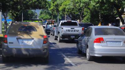 <b><span class=mln_uppercase_mln>Vialidad.</span></b> Muchos carros ni siquiera portan el permiso provisional para circular sin placas.<span class=mln_uppercase_mln> Foto: M. Cubas.</span>