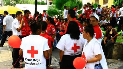 El parque central de la ciudad fue el sitio elegido por los socorristas para celebrar.