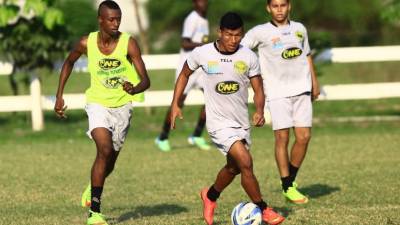 El conjunto dirigido por Hernán García comenzará este martes su pretemporada pensando en el Clausura.