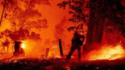 A firefighter works the line as flames push towards homes during the Creek fire in the Cascadel Woods area of unincorporated Madera County, California on September 7, 2020. - A firework at a gender reveal party triggered a wildfire in southern California that has destroyed 7,000 acres (2,800 hectares) and forced many residents to flee their homes, the fire department said Sunday. More than 500 firefighters and four helicopters were battling the El Dorado blaze east of San Bernardino, which started Saturday morning, California Department of Forestry and Fire Protection (Cal Fire) said. (Photo by JOSH EDELSON / AFP)