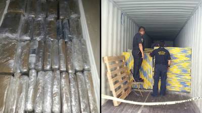 La droga fue encontrada por medio de un escaner espececial.