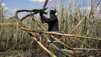 Las ventas de azúcar reportaron $832.5 millones a Guatemala.