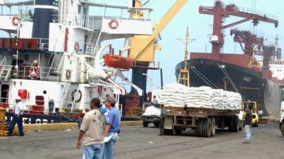 Hasta ahora, Honduras tiene derecho de exportar 20,000 toneladas métricas a Estados Unidos.