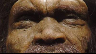 Reconstrución de 'homo rhodesiensis' que forma parte de la muestra 'Atapuerca y la evolución humana (Burgos). EFE