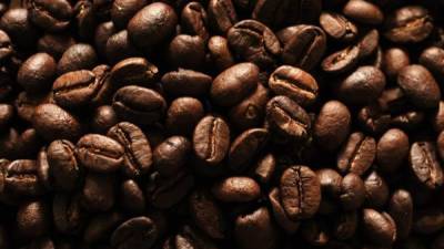En total se subastaron 25 lotes de café, cuyos precios promedios alcanzaron los 1.102 dólares por quintal. EFE/Archivo