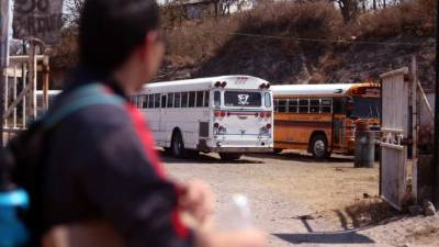 Paro de buses de Ojojona por extorsiÃ³n