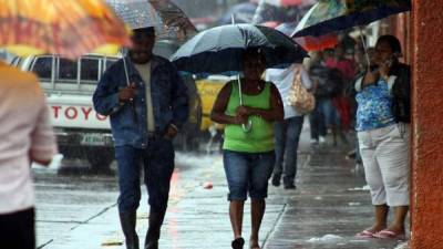 Las temperaturas oscilarán entre los 33 y 36 grados Fahrenheit.