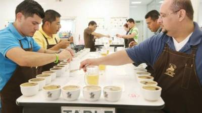 El 11 de junio se darán a conocer los nombres de los productores que se alcen con el galardón de los mejores cafés producidos en Honduras.