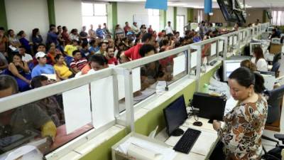 Cientos de sampedranos hacen fila en las ventanillas de la Dirección Ejecutiva de Ingresos (DEI) para solicitar su RTN. Foto: Franklyn Muñoz