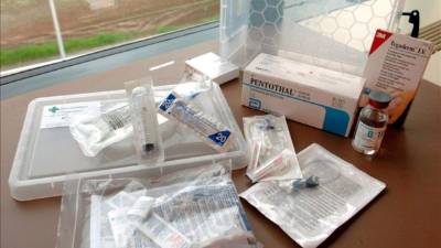 Un tribunal británico ha garantizado el derecho a rechazar un tratamiento médico vital a una mujer de 50 años determinada a morir, por considerar que 'sin juventud ni belleza' su vida carece de 'chispa', en un dictamen inusual que publica hoy 'The Guardian'.