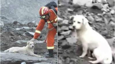 El video hace emocionar a los internautas en las redes sociales.