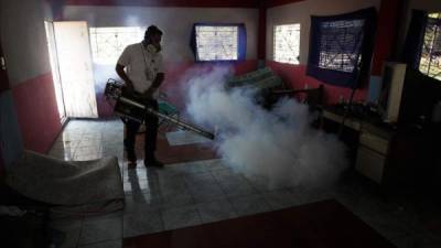 Un empleado del Ministerio de Salud fumiga el interior de una casa en la ciudad de Soyapango, 6 kilómetros al este de San Salvador. EFE/Archivo.