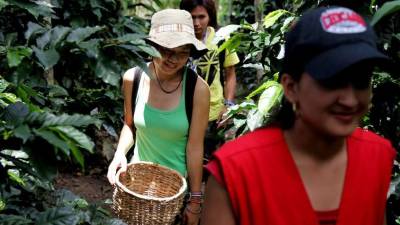 Los turistas pueden vivir grandes aventuras en parajes exclusivos.