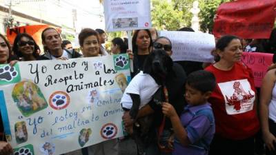 Personas con sus mascotas y pancartas exigieron aprobar la Ley de Protección Animal.