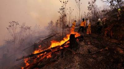Los bomberos combaten el fuego en El Hatillo, zonas con más afectación. Fotos: La Prensa.