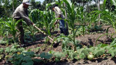 Los sectores productivos del país, en especial el agro, serán beneficiados.